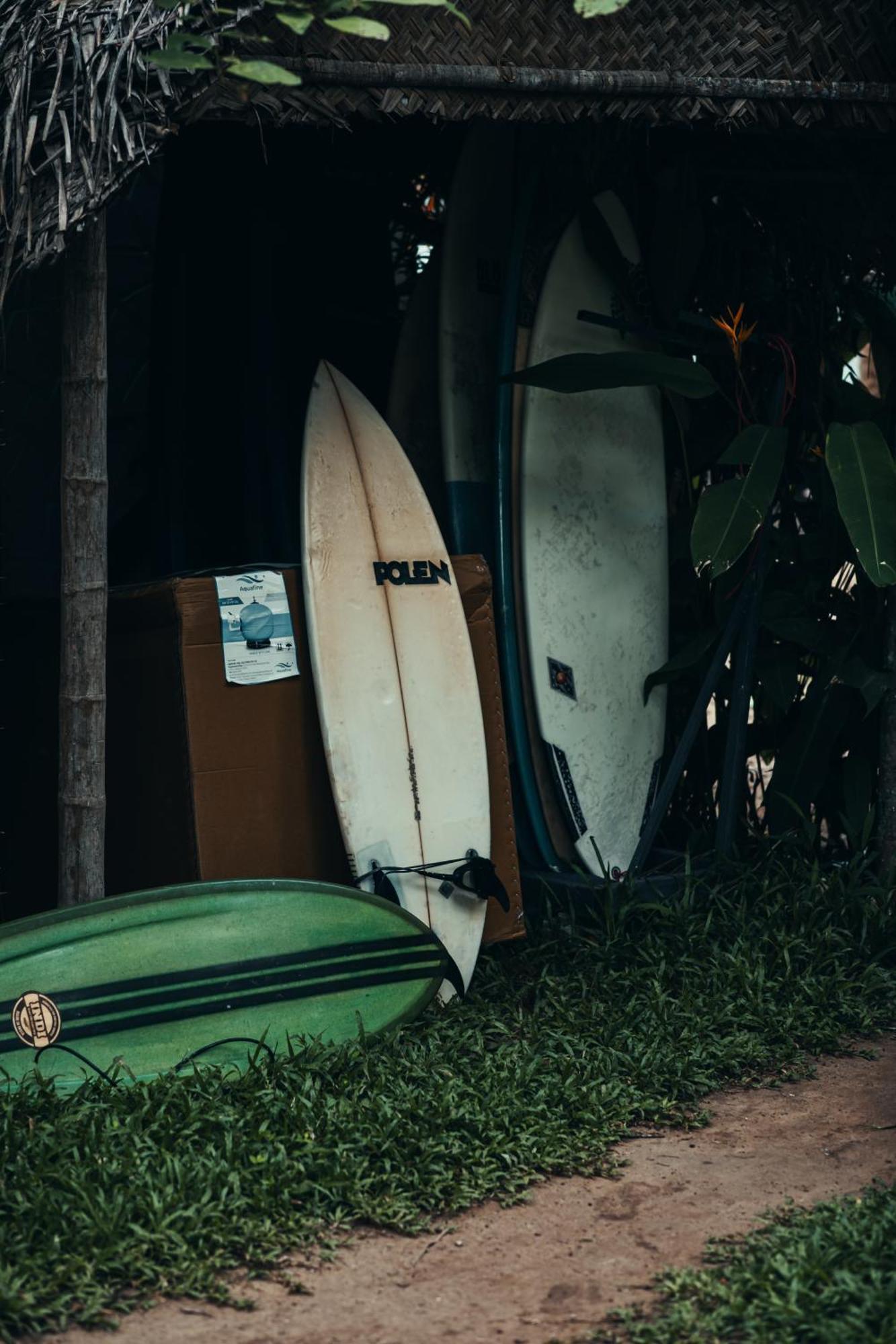 Paddlecult Surf Retreat Bed & Breakfast Варкала Екстериор снимка
