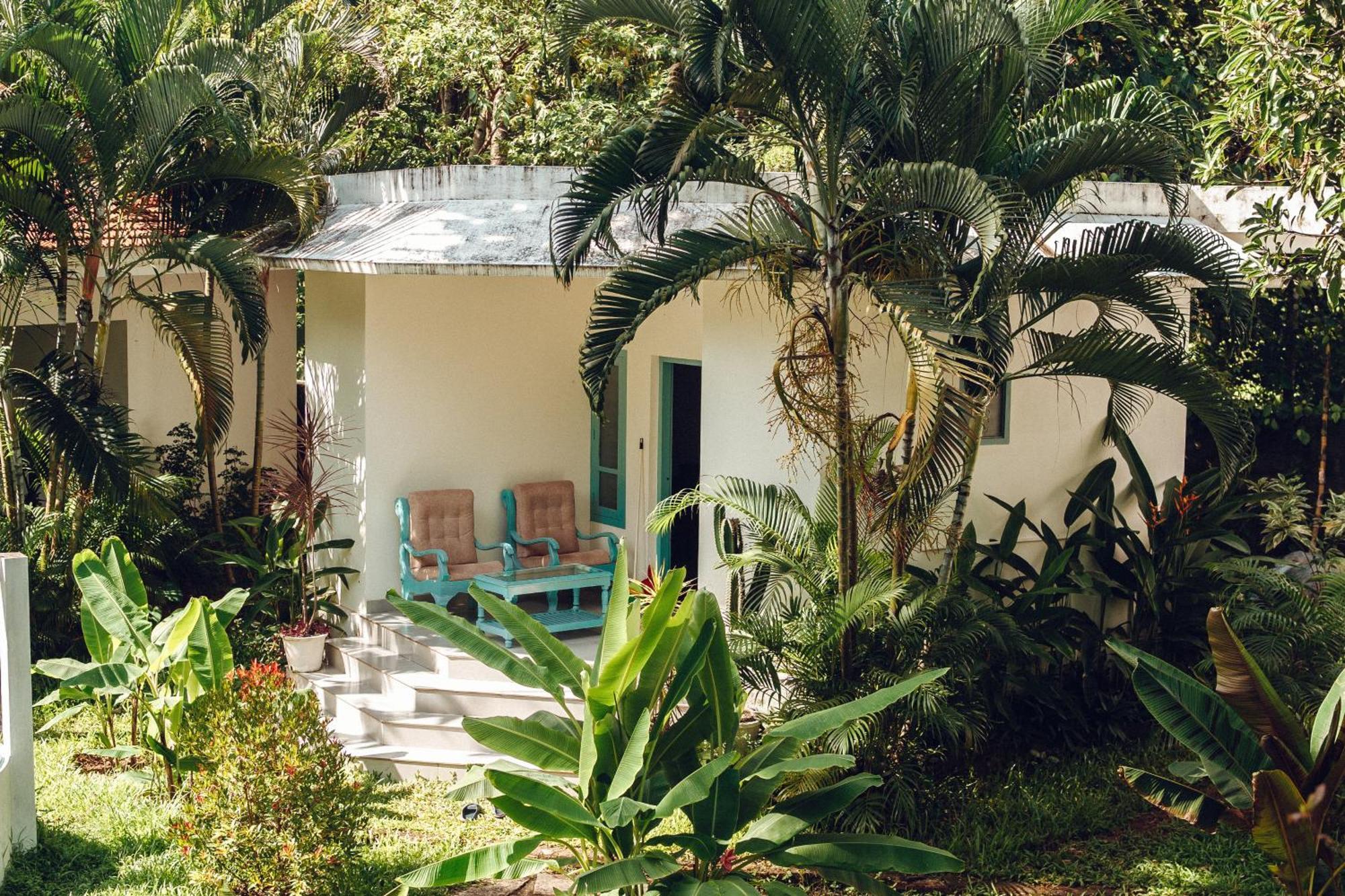 Paddlecult Surf Retreat Bed & Breakfast Варкала Екстериор снимка