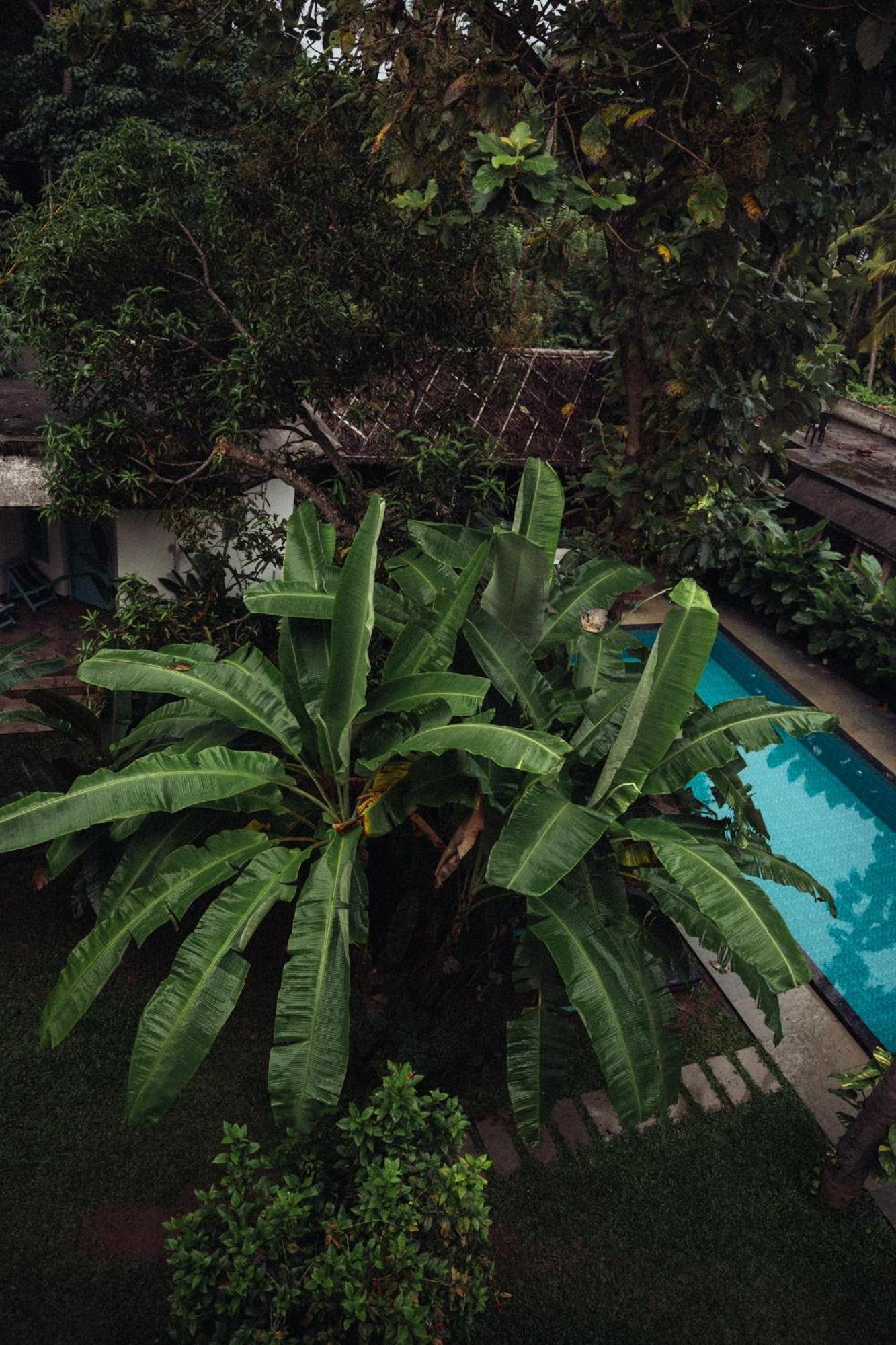 Paddlecult Surf Retreat Bed & Breakfast Варкала Екстериор снимка